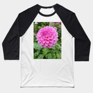 Light Pink Dahlia 2 Baseball T-Shirt